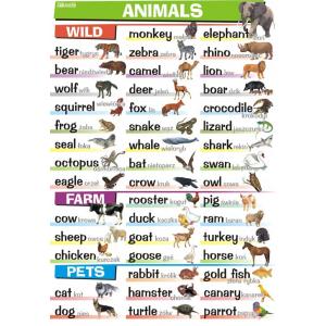 Plansza edukacyjna Angielski. Animals