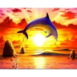 Malowanie po numerach. Delfin na tle zachodu słońca 40 x 50cm 5552