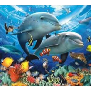 Malowanie po numerach. Delfiny, oceanarium 40 x 50 5608