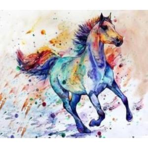 Malowanie po numerach. Koń w galopie kolor 40 x 50 5616