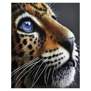 Malowanie po numerach. Tygrys 40 x 50 5670