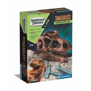 Skamieniałości - czaszka t-rexa