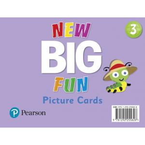 New Big Fun 3 Picture Cards