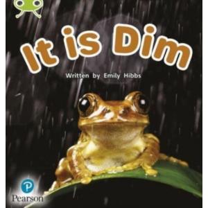 Bug Club Phonics Non-Fiction Early Years and Reception Phase 2 Unit 2 It is Dim