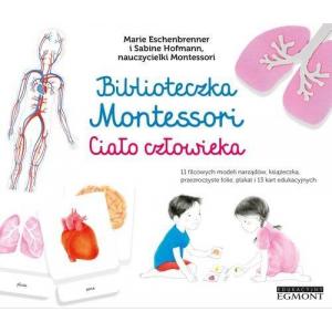 Biblioteczka Montessori Ciało człowieka