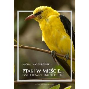 Ptaki w mieście czyli birdwatching po polsku