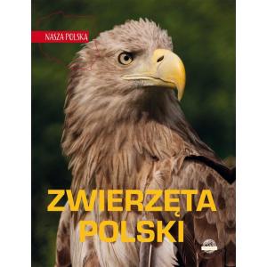 Nasza Polska. Zwierzęta Polski