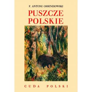 Cuda Polski. Puszcze polskie