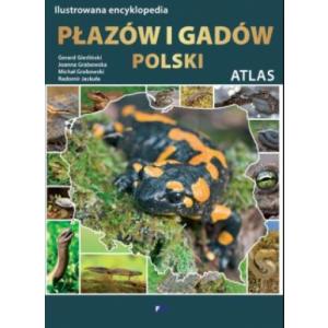 Ilustrowana encyklopedia płazów i gadów polski. Atlas