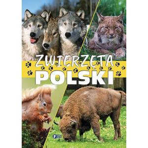 Zwierzęta Polski. Wydawnictwo Fenix