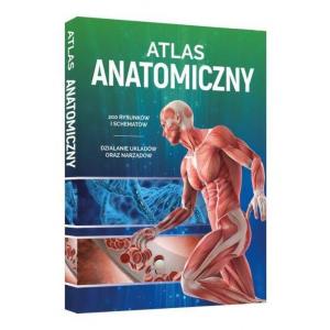 Atlas Anatomiczny wyd.SBM