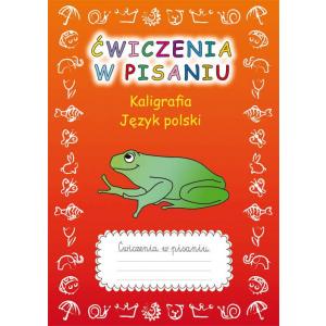 Ćwiczenia w pisaniu Kaligrafia Język polski
