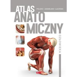 Atlas anatomiczny człowieka