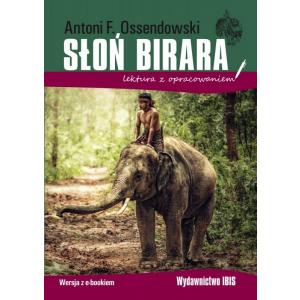 Słoń Birara z opracowaniem