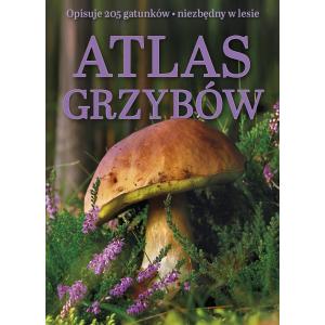 Atlas grzybów. Wersja kieszonkowa
