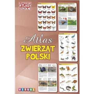 Ilustrowane atlasy szkolne. Atlas zwierząt Polski
